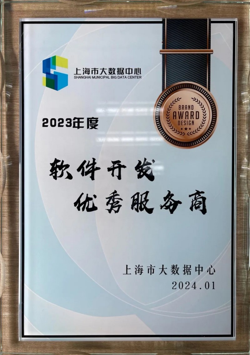 上海软件开发行业动态：创新与挑战并存